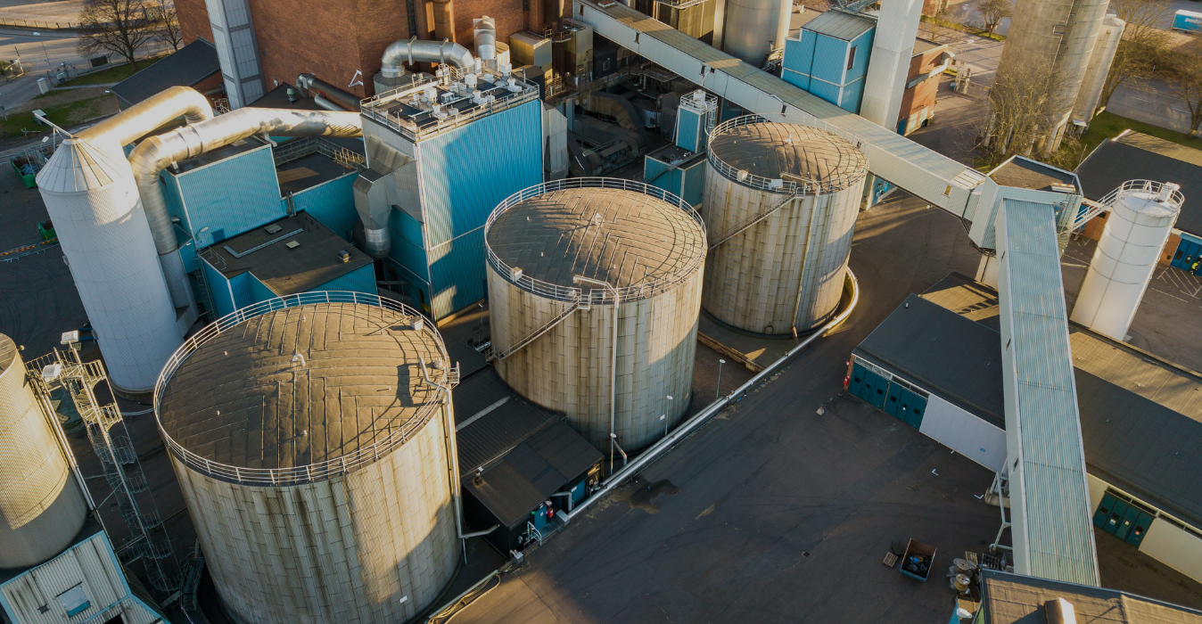Biomass conveyor system