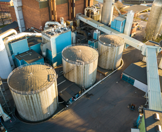 Biomass conveyor system