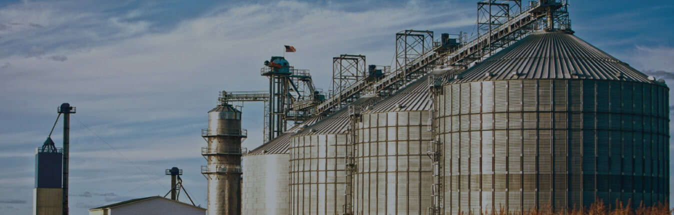 Biomass